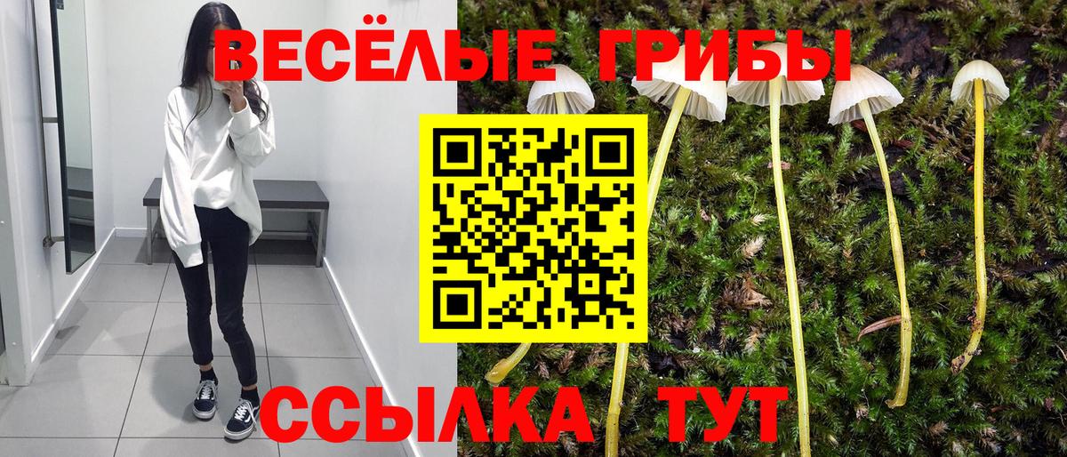 Псилоцибиновые грибы GOLDEN TEACHER  Вход с VPN  Галлюциногенные грибы Cubensis  Стрежевой 